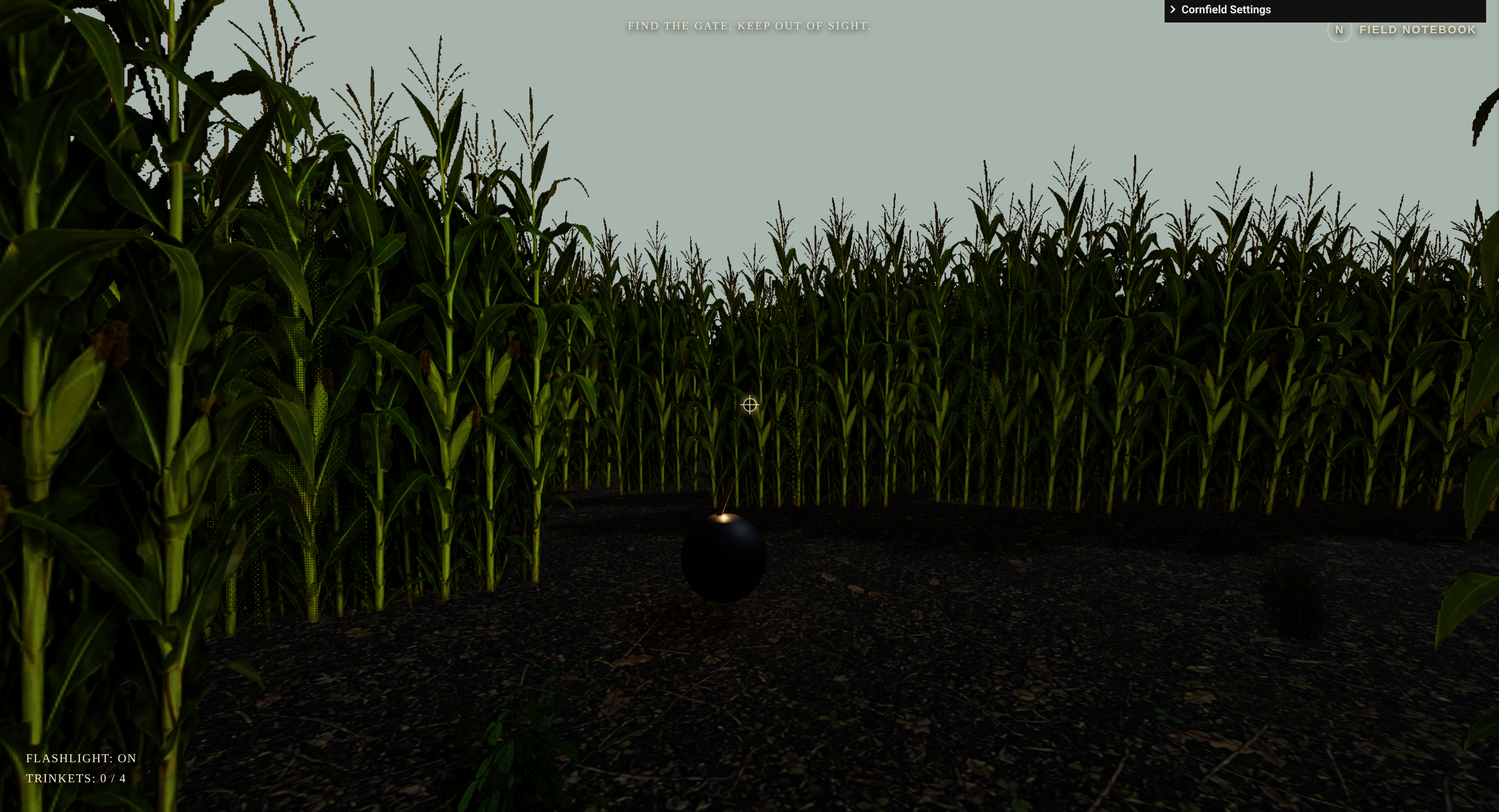 Screenshot of the Harvest Moon Maze demo